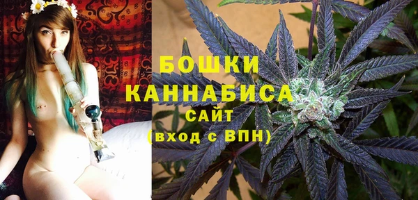 шишки Иннополис