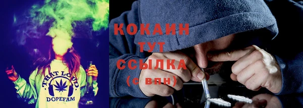 прущая мука Инта